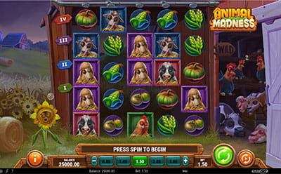 La tragamonedas Animal Madness en el casino online Betsson dominicano